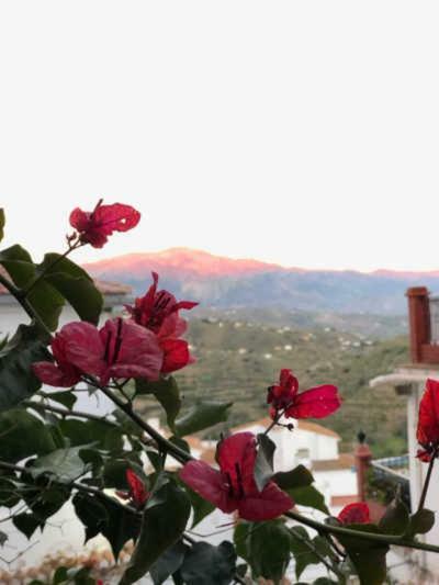Holiday home Casa De Luz Almachar